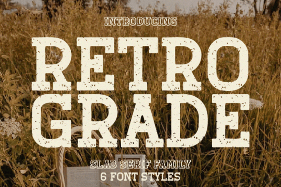 Retro Grade: A Bold, Nostalgic Slab Serif for Small Business Branding
